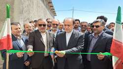بهره‌برداری  از ۵ گلخانه جدید در خراسان جنوبی